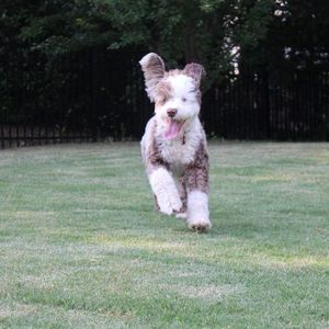 Meet your Posher, Cheryl